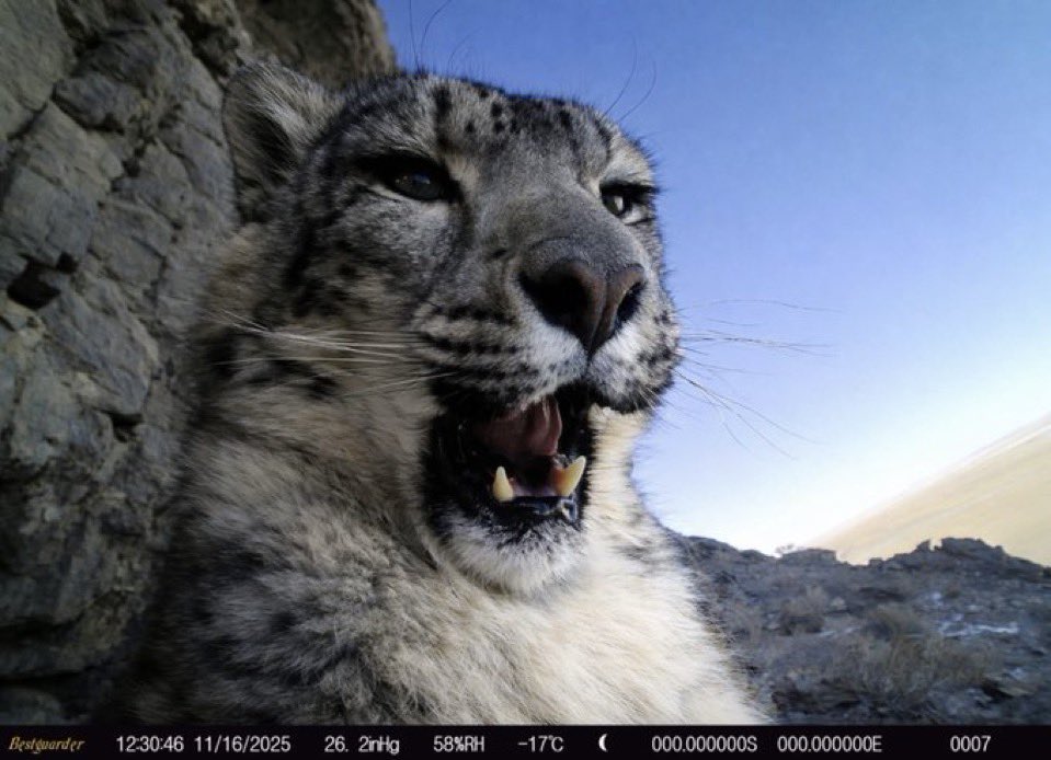 Winter Snep tweet media