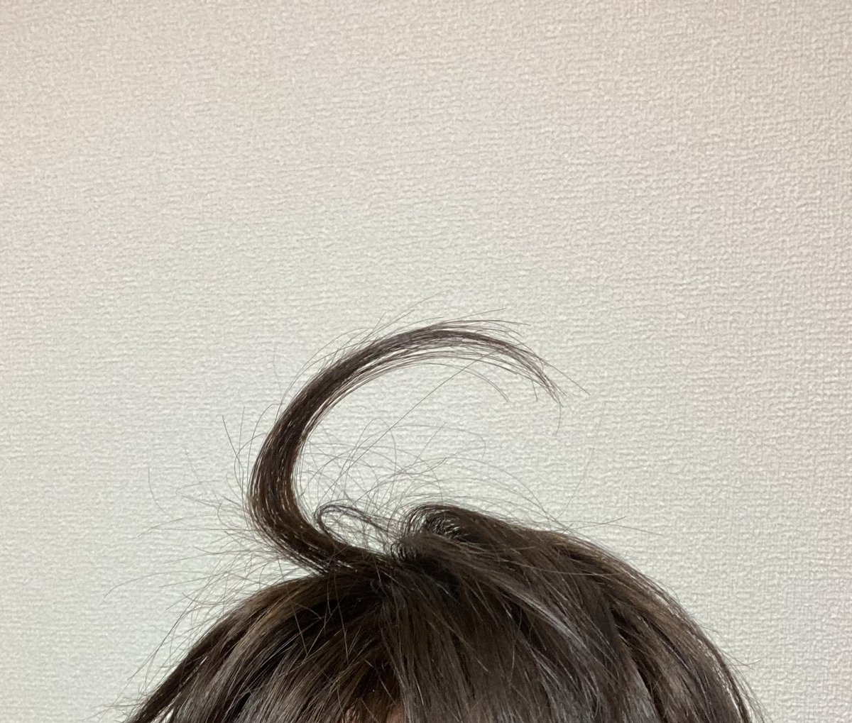 すげー
自分の脳天にアホ毛の資料出来た