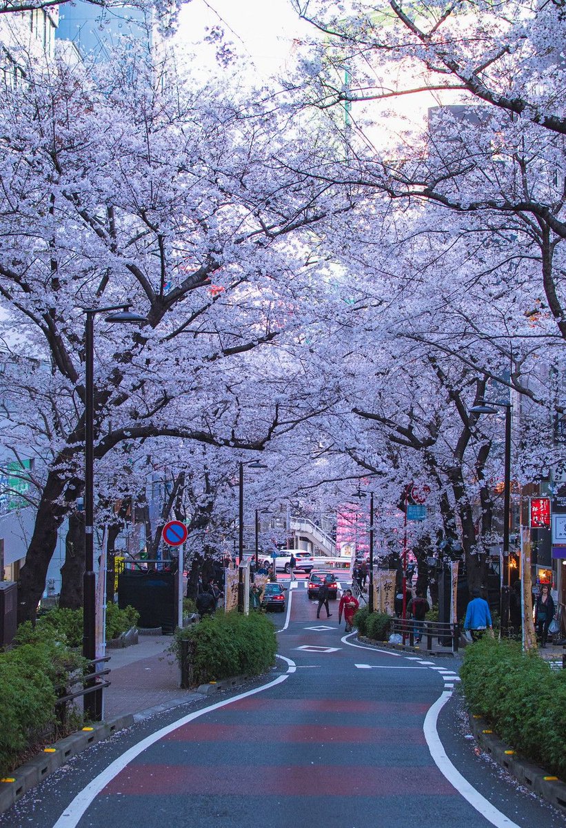 bieeel's tweet image. 電車の遅延で待ち合わせに20分も遅刻してしまって友達に謝りまくった 🌮