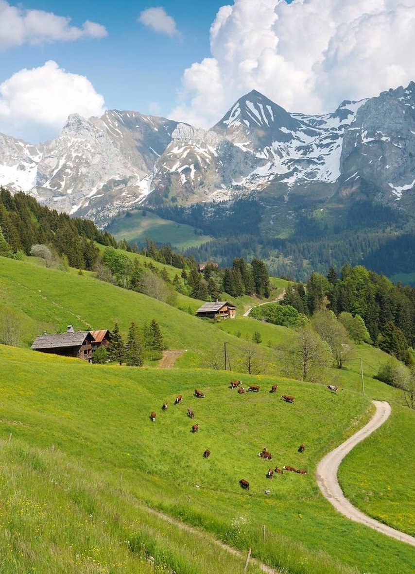 PAPAX1985's tweet image. 電車遅延で約束の時間に間に合わなかった 👱‍♀️