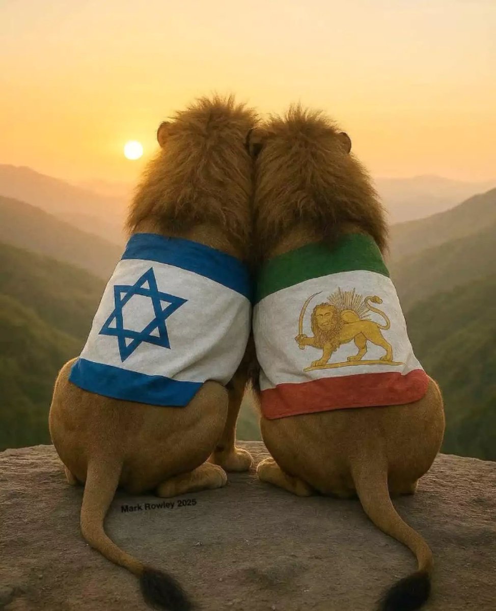 VividProwess's tweet image. Iranians all over the world have stood with Israel and the Jewish people every day since this war began.

They waved the Israeli flags, took to the streets, and supported us.

It is our time to be there for them.