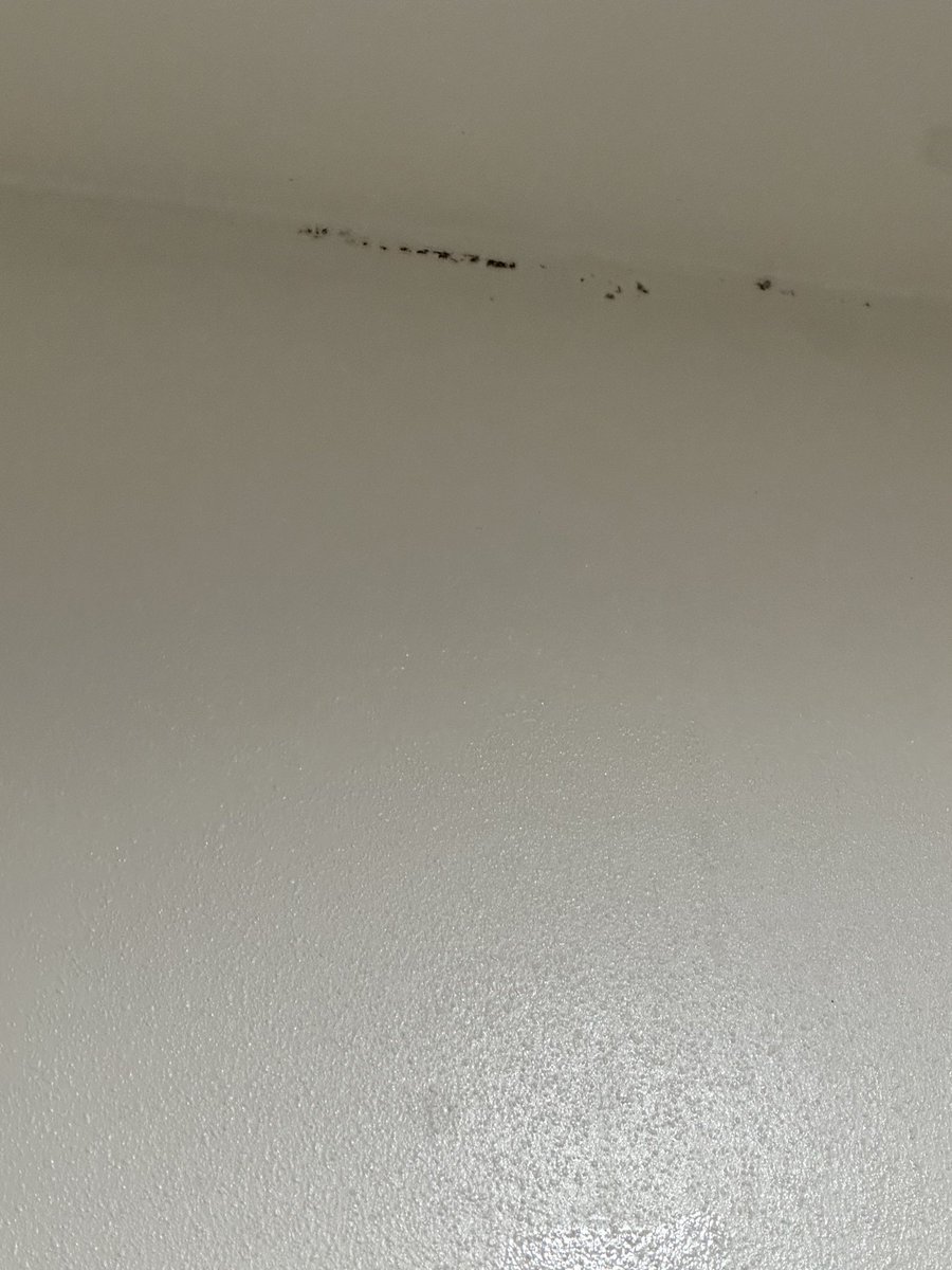JH3_GD's tweet photo. @disneyvacclub just found black mold In my room. 🤮🤮🤮 https://t.co/HilKsOmrav