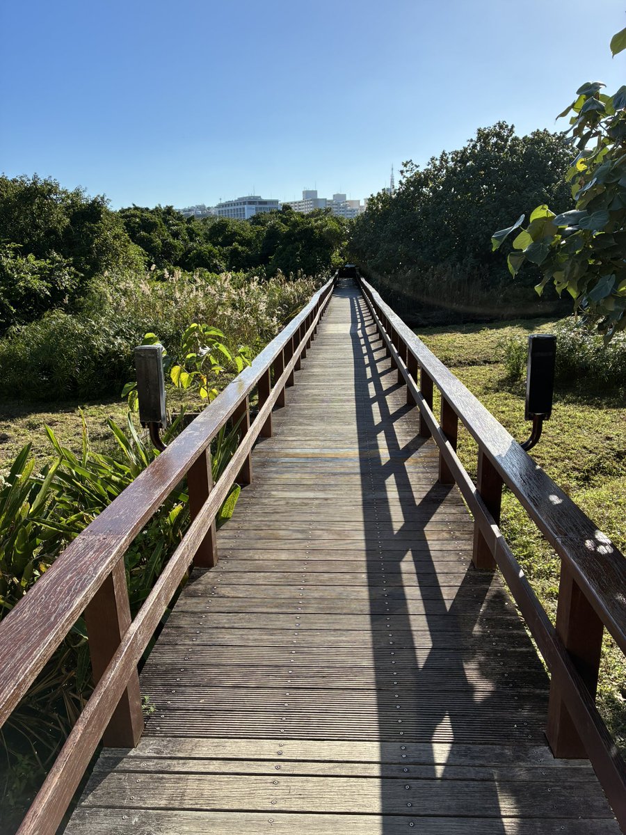 にこらしか@大洗満喫 tweet media