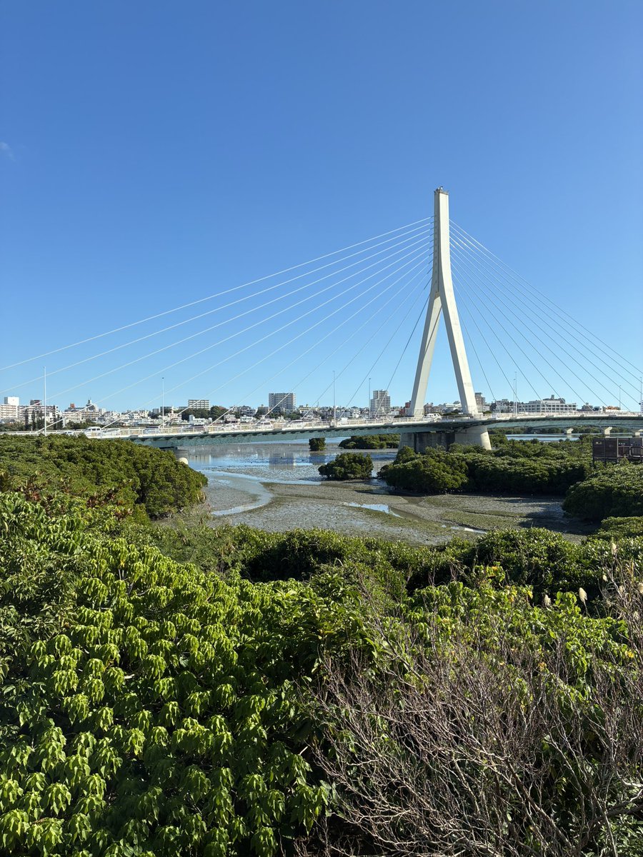 にこらしか@大洗満喫 tweet media