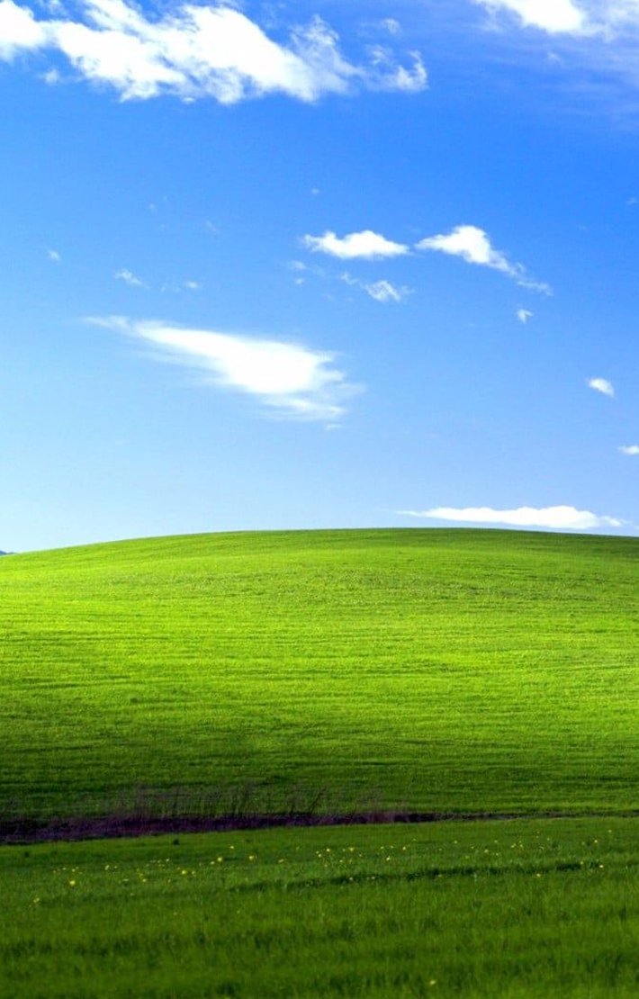 Devion16's tweet image. 雨に濡れた犬の散歩から帰ってきてタオルが足りない 🤩