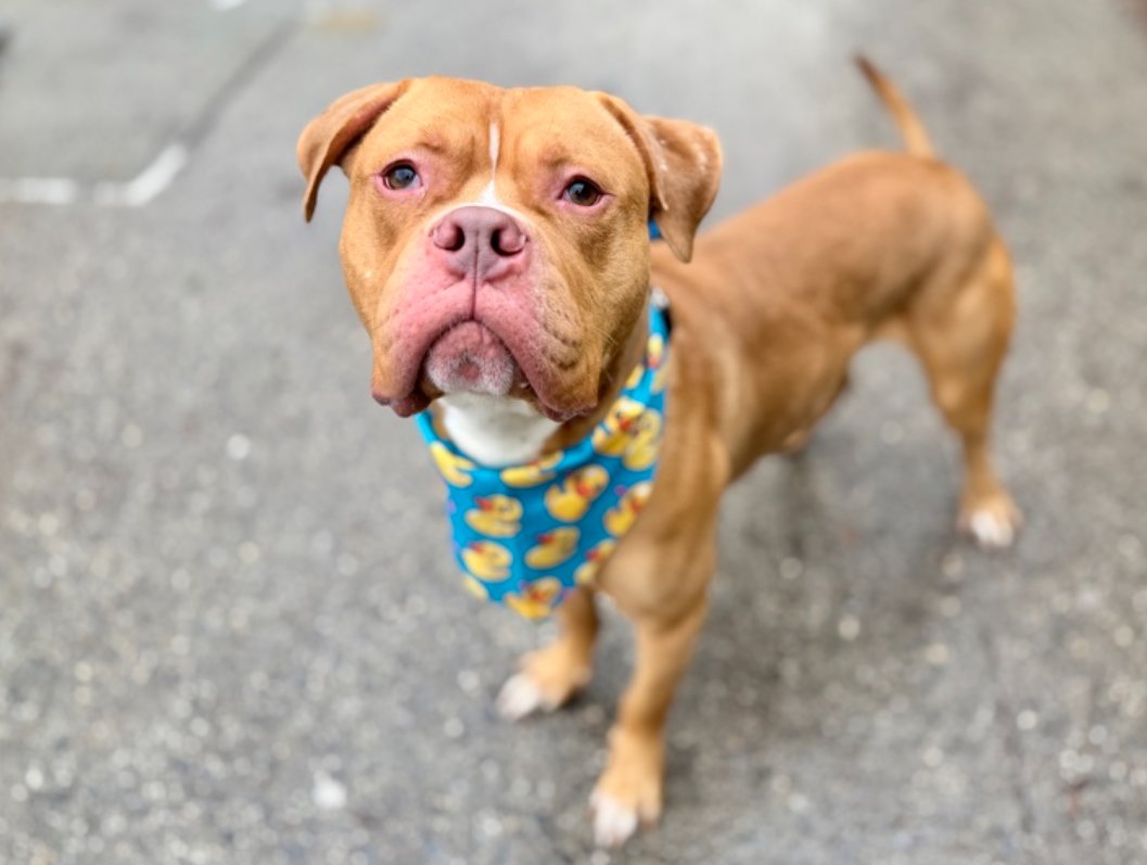 notthesameone2's tweet image. 2-y/o Cooper: