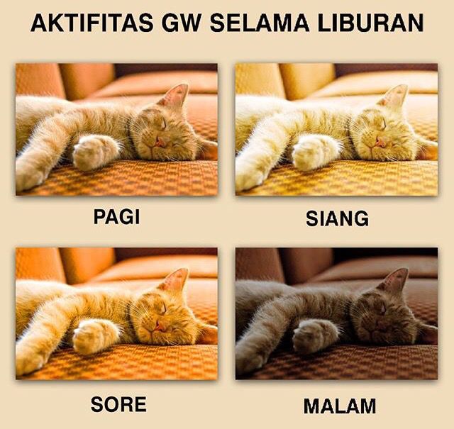 wilonaaa's tweet image. 