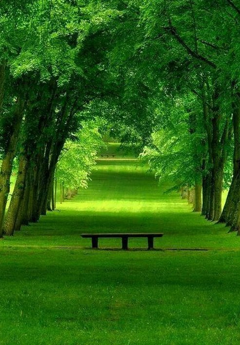 ParcusMyth's tweet image. 父親が急に料理に目覚めて毎週末何か作ってくれる 💒