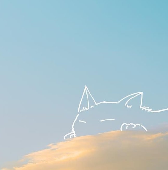 dietarapidait's tweet image. 友達の誕生日プレゼント何にしようか悩む 👨‍🏫