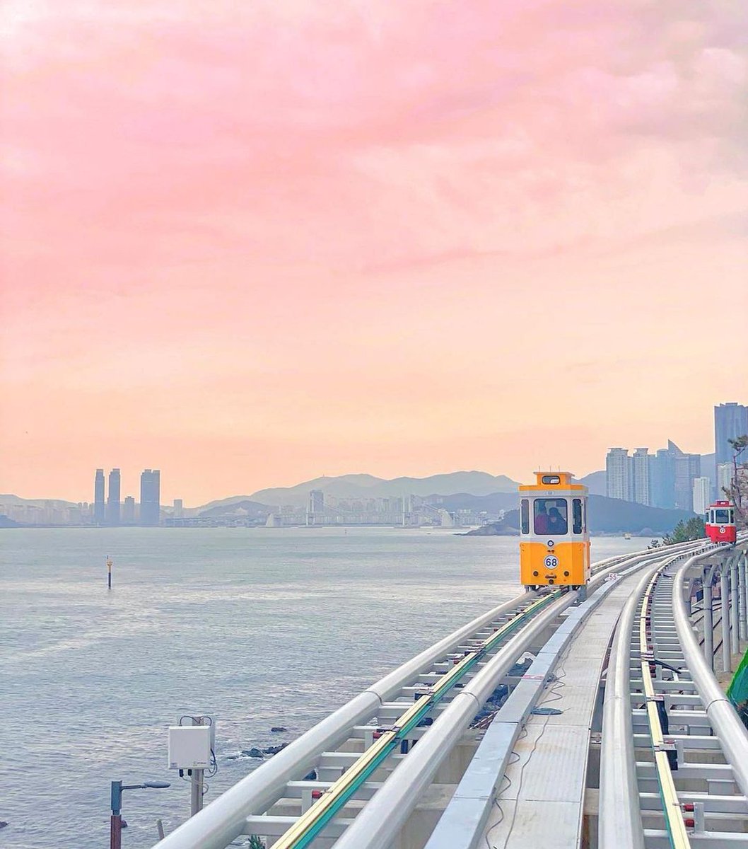 FernandoProfs's tweet image. スーパーで特売日だったのを忘れてて普通の値段で買い物してしまった 🍣