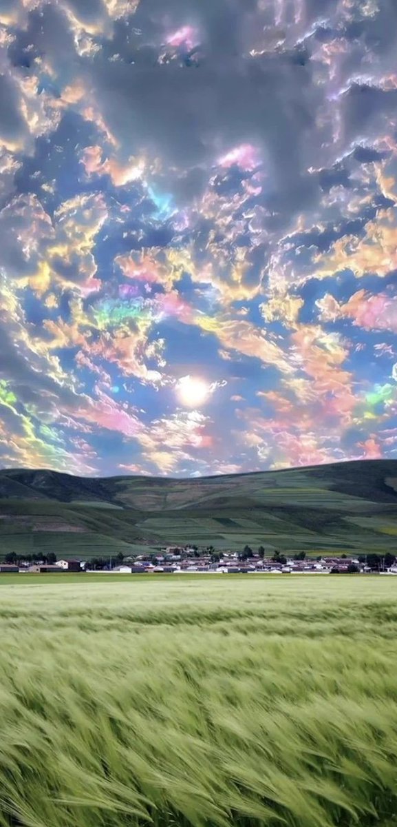 Mathiasvt's tweet image. コンビニ弁当ばっかり食べてたら野菜が恋しくなってきた 🤯