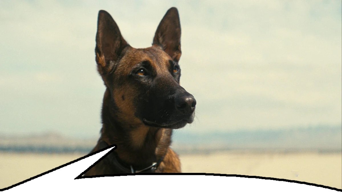 spaceprinceben's tweet image. 