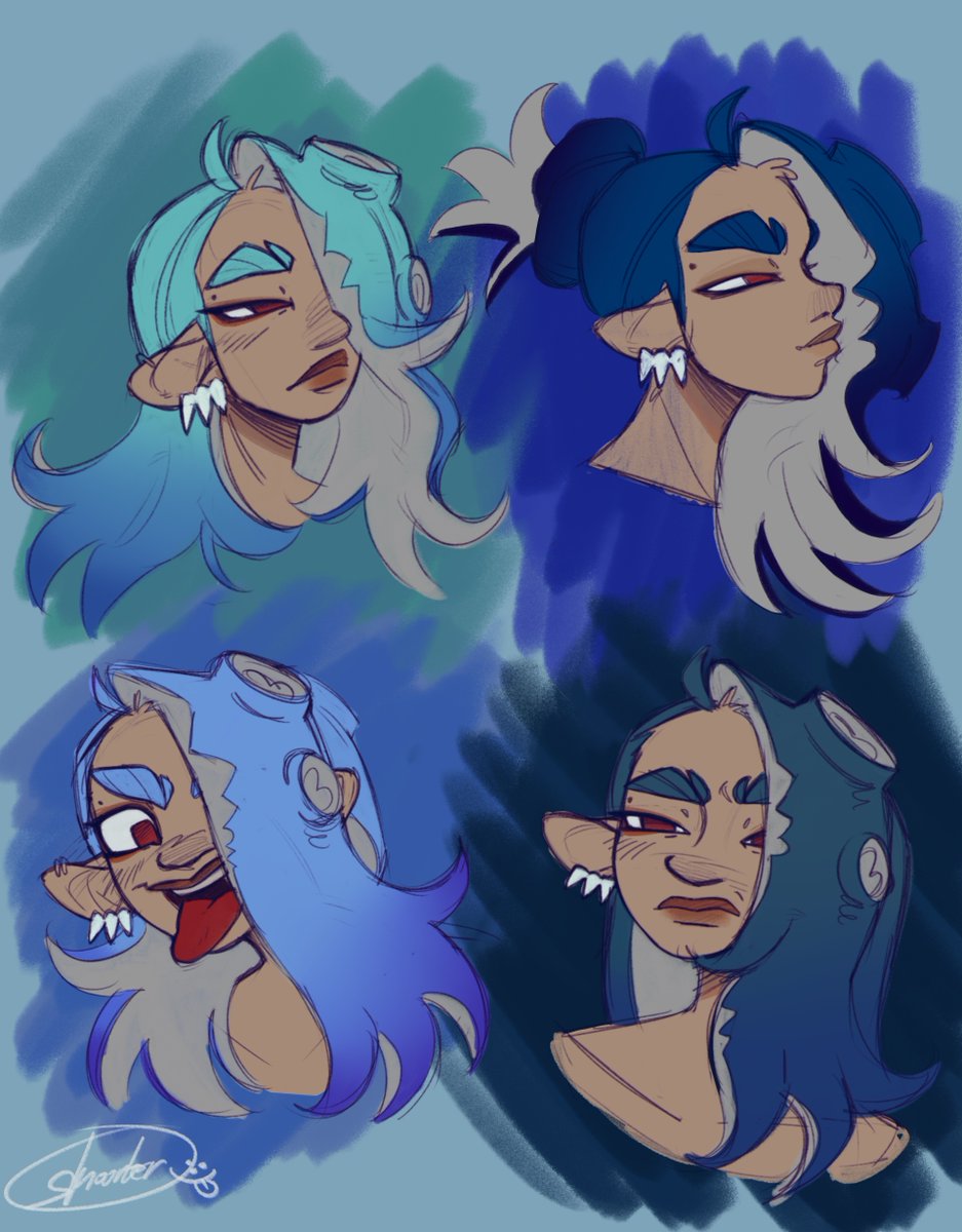 certified turtle tweet media