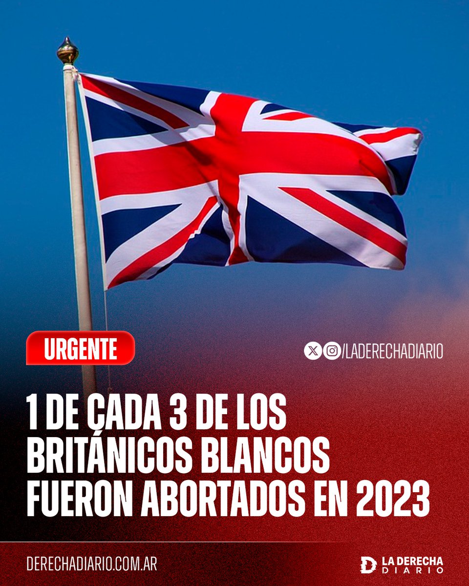 🚨🇬🇧 | Genocidio silencioso: Se reveló que uno de cada tres embarazos de británicas blancas fueron abortados en 2023, registrando más de 167.000 bebés blancos asesinados, según las estadísticas publicadas por el Gobierno del Reino Unido.