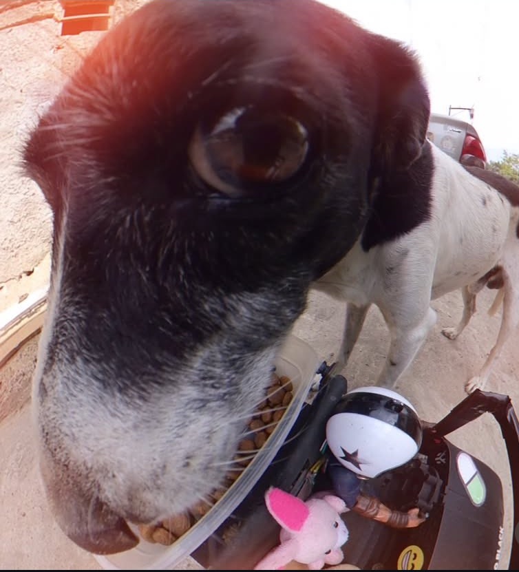 Eu

Eu estou vivo

👁👁