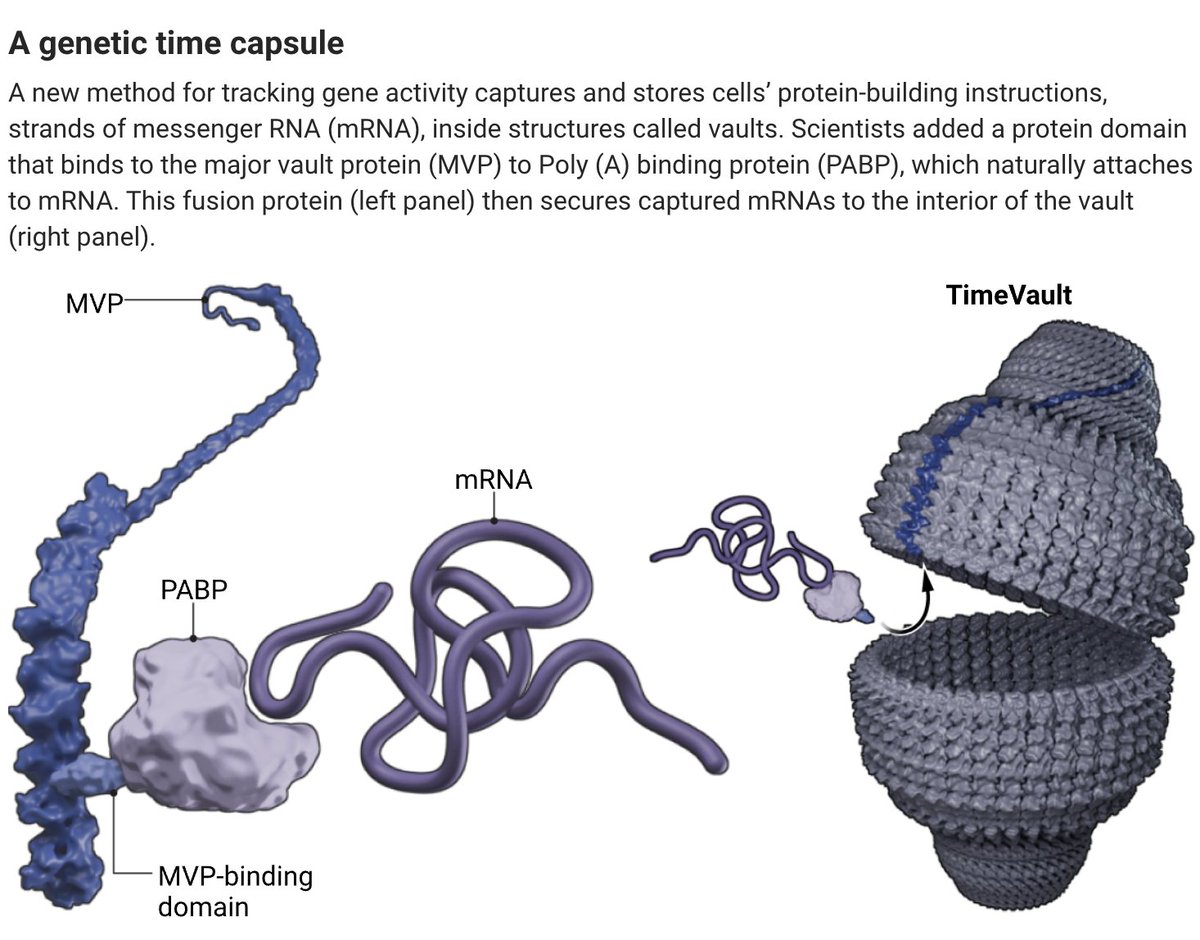 News from Science tweet media
