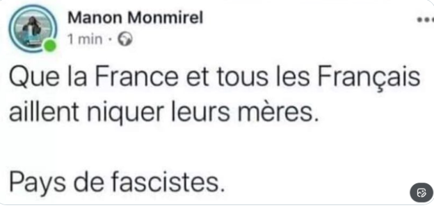 FredGaulois's tweet image. LFI, c'est bien le parti anti France!