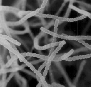 Canadian Society of Soil Science tweet media