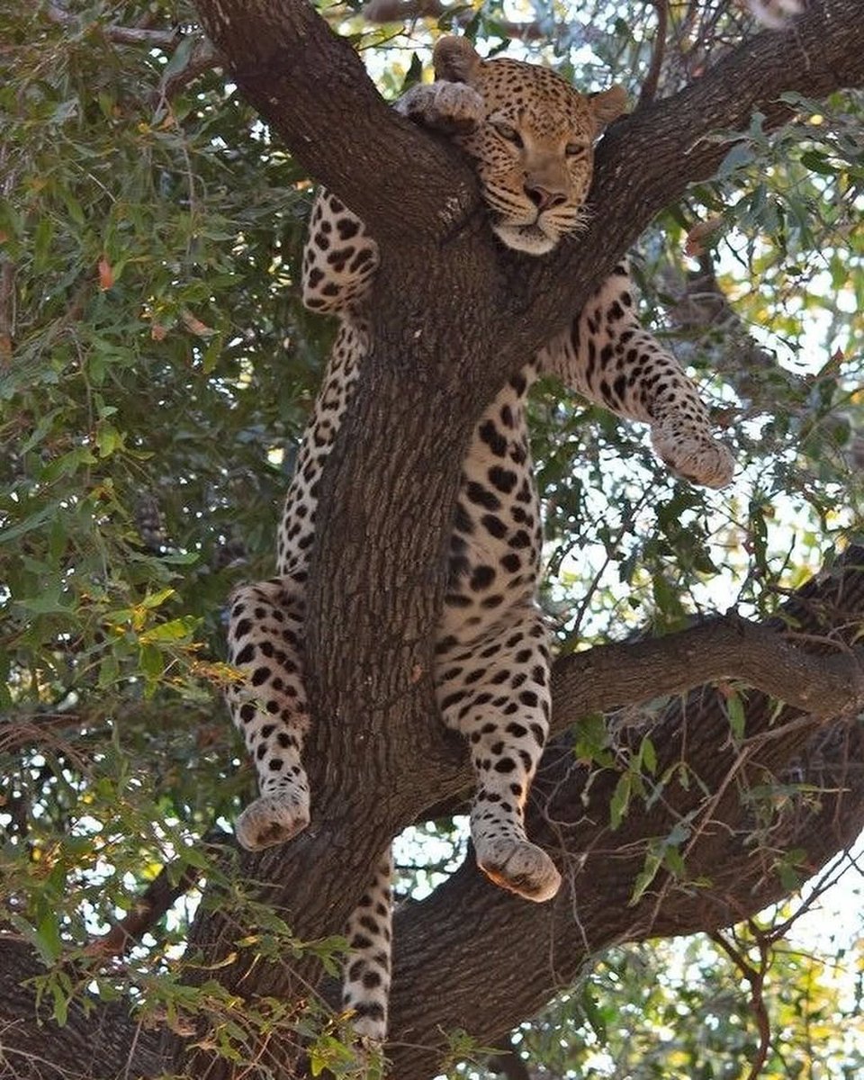 🌴 Vagrant 🌴 (@vagranttravels) on Twitter photo 