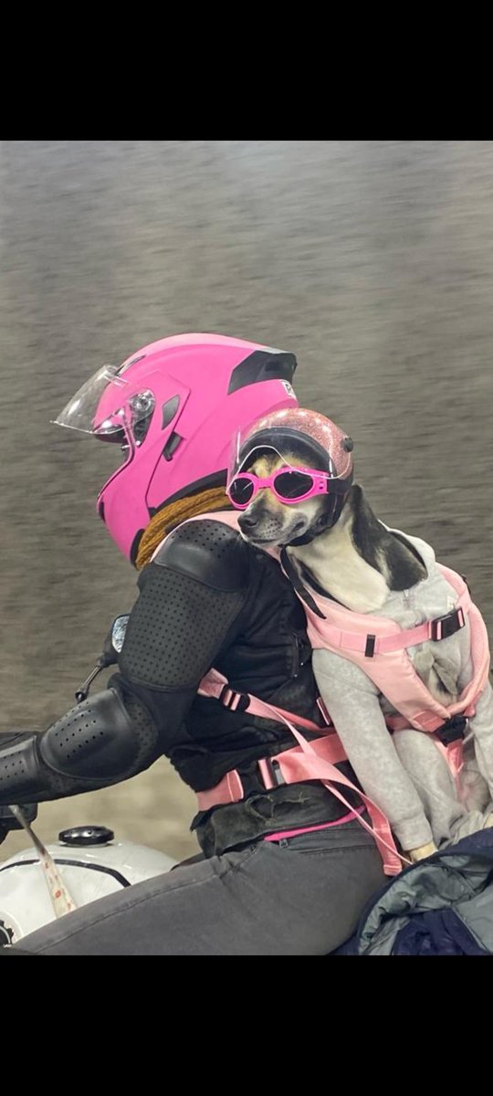 <a href="/Mithrilushka/">✨ Mithril ✨</a> <a href="/MariaEl95097388/">Mariel</a> <a href="/Ma_BonitaA/">MARÍA BONITA 🇲🇽</a> <a href="/violetamg10078/">🌸 Violeta 🌸💜</a> <a href="/rociomag3/">ROSQUI MARÍA</a> <a href="/DULCEPOLY11/">DULCE POLY</a> <a href="/Alejandra11218/">Alejandra Lizárraga</a> <a href="/sophie_sant/">Sophie Sant</a> <a href="/Hugo_Alday/">Hugo Alday Nieto</a> Gracias Luna lunera Mith 🩵 
Feliz Jueves Pa To das 
Mariel 💚 Rosqui 🤎 Violeta 💜 Maria Bonita 💖 Poly 🧡