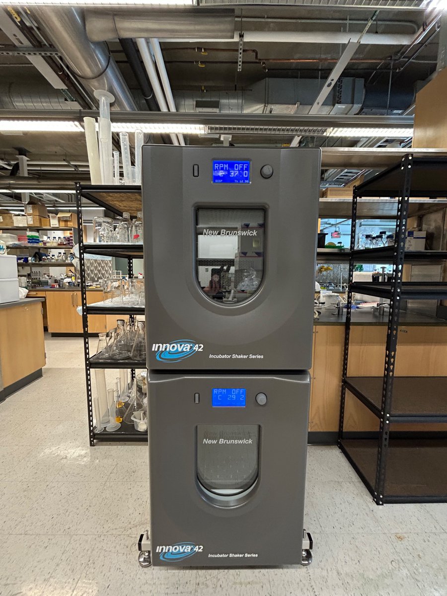 Mehran Dastmalchi tweet media