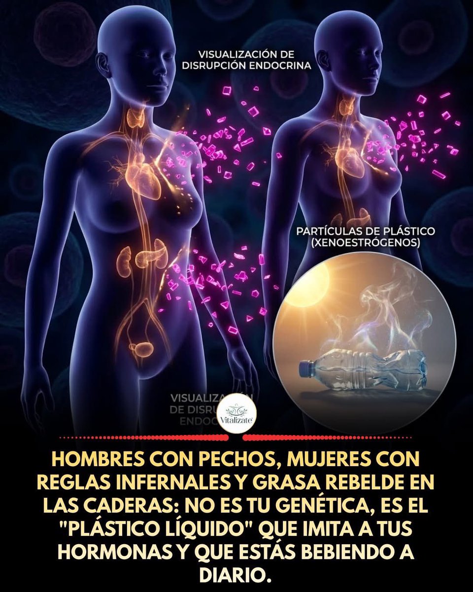 musicandsoularg's tweet image. ⚠️ ESTAMOS VIVIENDO UNA EPIDEMIA DE "FALSOS ESTRÓGENOS".

¿Te has preguntado por qué la pubertad empieza cada vez antes? ¿Por qué la fertilidad masculina ha caído un 50%? ¿Por qué es casi imposible perder grasa en muslos y caderas aunque hagas dieta?

La respuesta tiene nombre:…