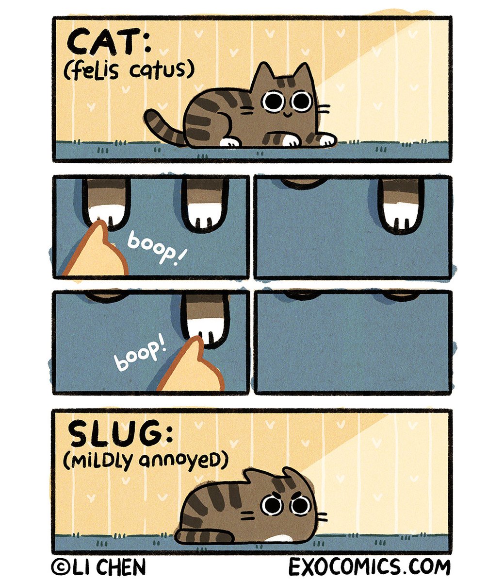 Exocomics's tweet image. transformation