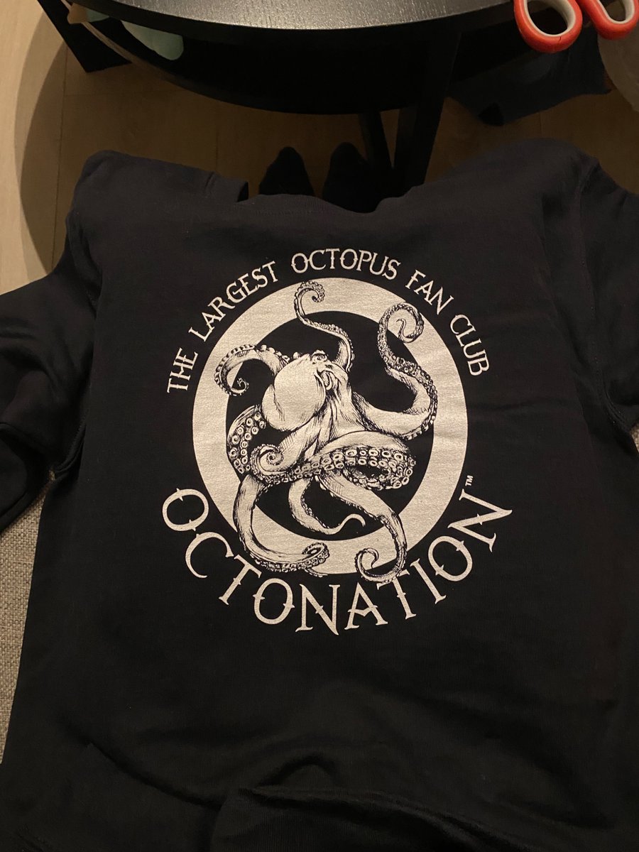 creatureish_'s tweet photo. chat should i wear this to bookshop job interview gen q https://t.co/iDYFKtKxKW