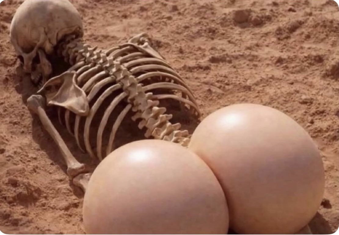 alifarhat79's tweet image. Archeologists digging up Miami in 1,000 years