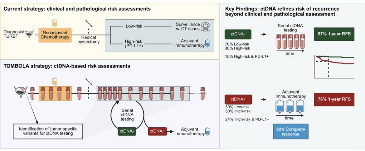 scocmem's tweet image. Results from the phase II TOMBOLA published in @Annals_Oncology 

ctDNA+ patients treated early with atezolizumab (60% CR) and ctDNA– patients safely spared adjuvant therapy (97% 1-year RFS). 

@OncoAlert @LDyrskjot @urotoday

annalsofoncology.org/article/S0923-…