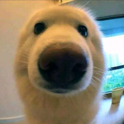 Corporalborg's tweet image. The new generation fnf is about to witness the reason this two snipers were feared onchain so much

I can already see dormant wallets moving sol