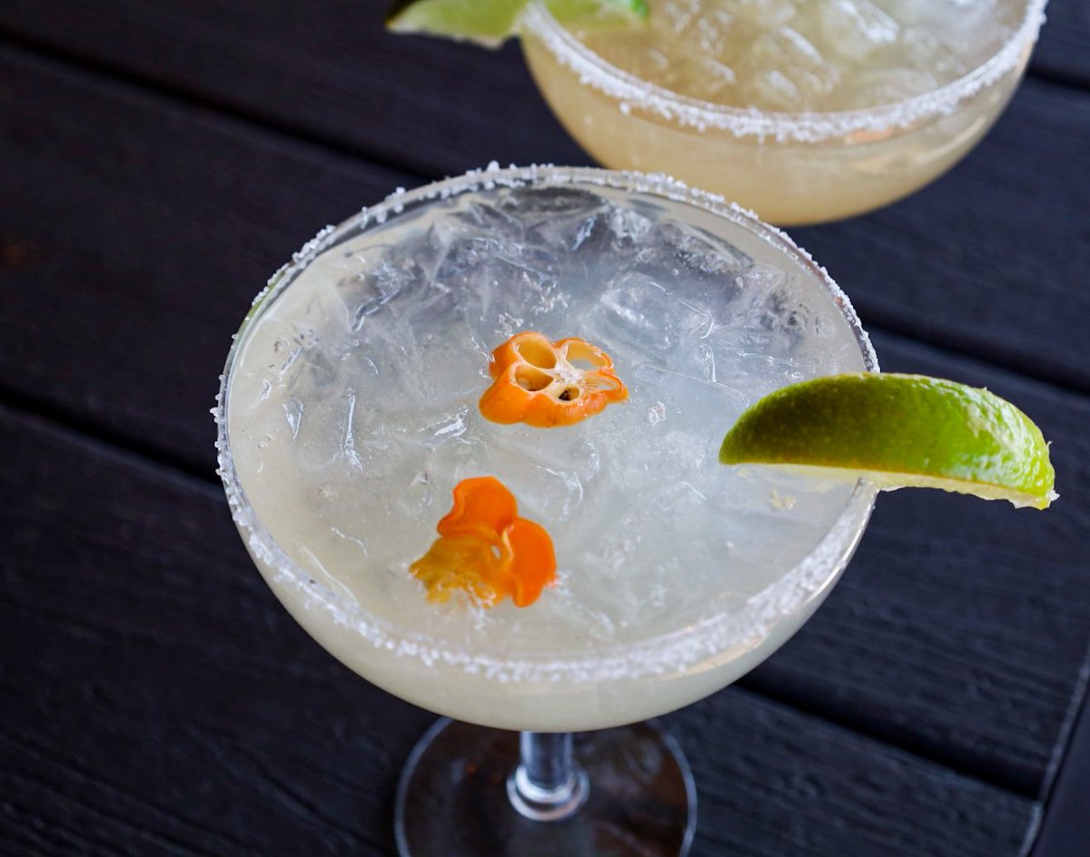 Cien Agaves tweet media