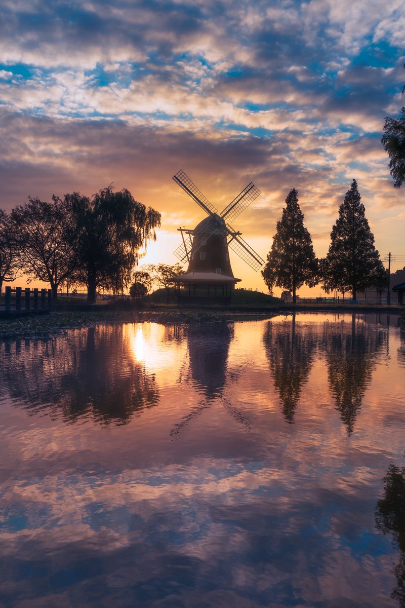 pomu_iyashi's tweet image. 日の出と風車が美しかった