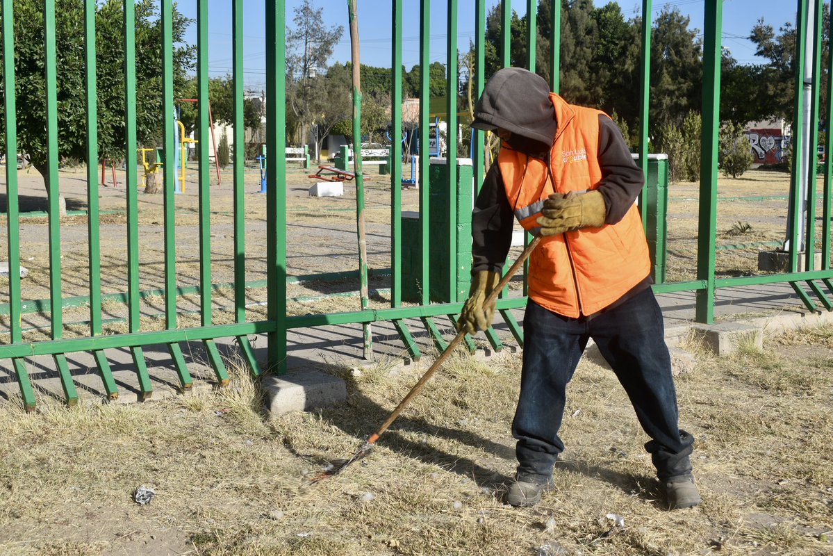 Llevamos a cabo la limpieza general del Jardín Juan Sarabia, realizando trabajos de deshierbe, poda y mantenimiento integral para mejorar este espacio público y hacerlo más seguro, limpio y agradable para todas y todos 🌿✨

¡Seguimos trabajando por un #SanLuisAmable!
