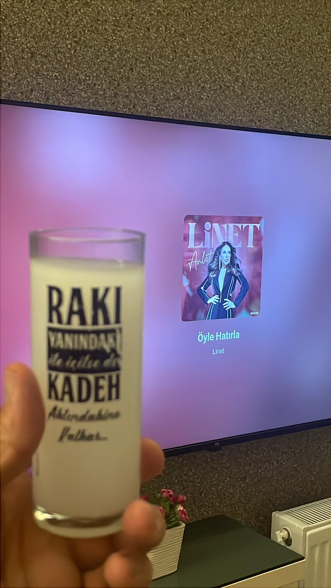 Biz kimse kötü olsun istemedik sadece hainleri müsait bi yerde indirdik :)