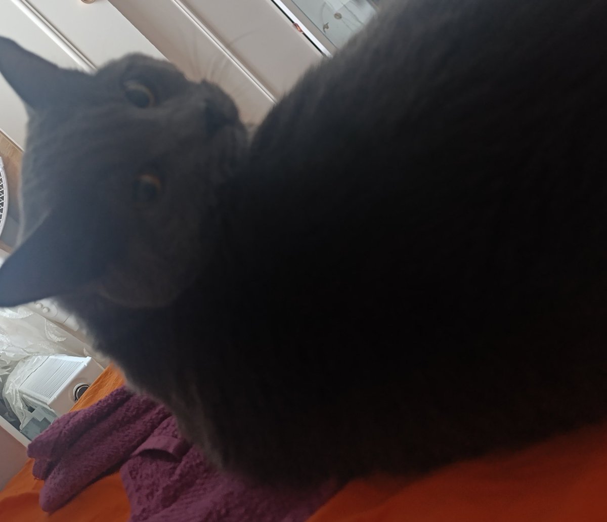 BurcuDoanYldz1's tweet image. Noldu gıııı, hayırlı haber mi verecen? Sonunda selası okundu de...