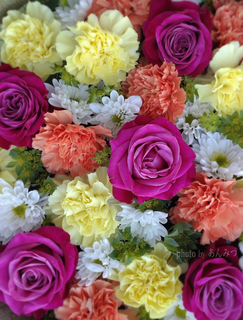 ☆あんみつ☆ (@BiDwVv7B2Uh5VYR) / Posts / X