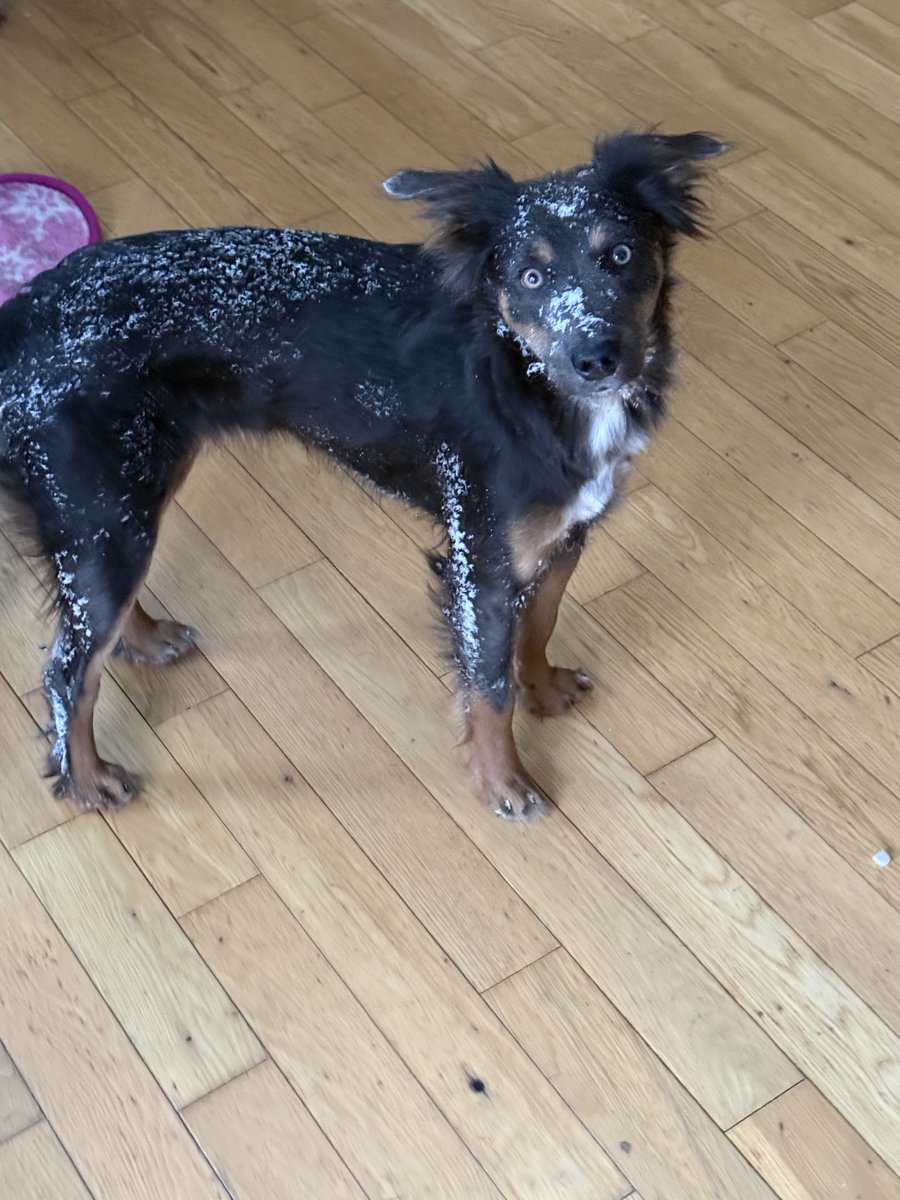 headbagner tweet media