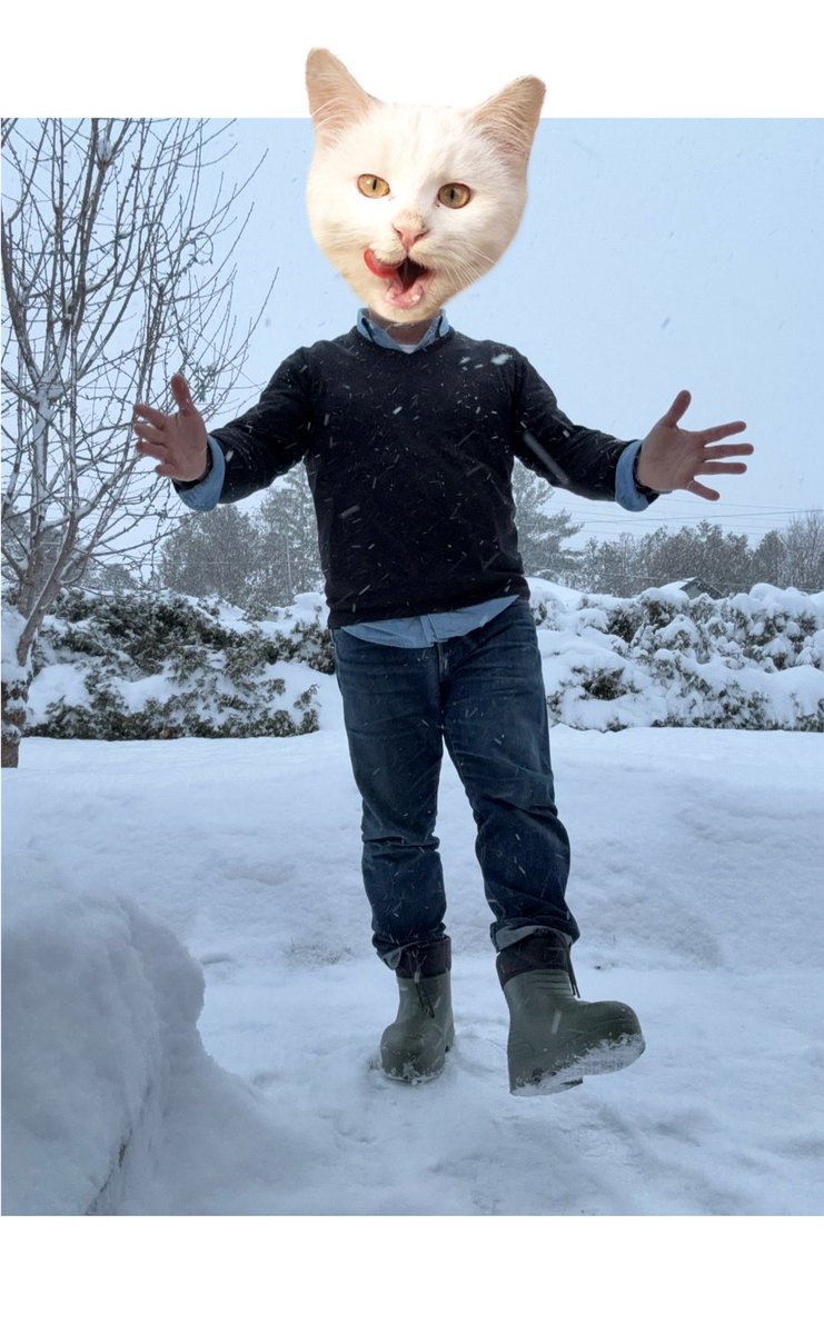 Jïm Brÿson tweet media