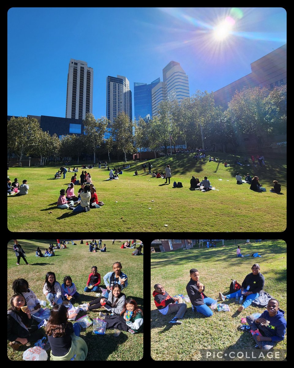 Traci Patterson tweet media