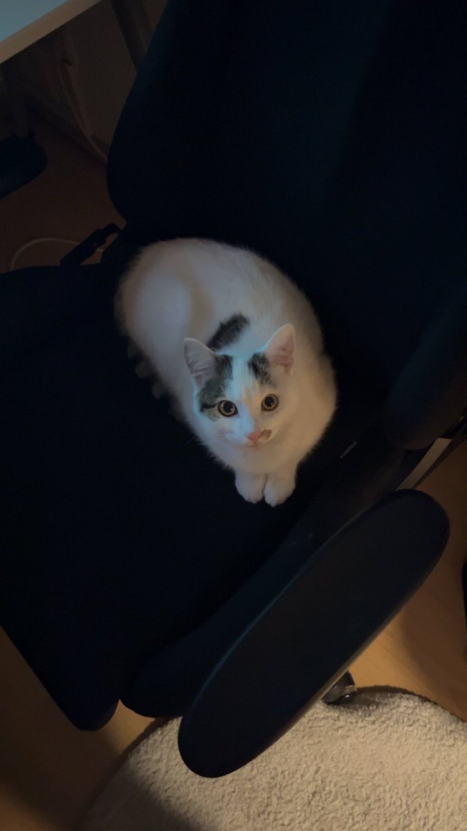 Einmal bitte den Stuhl räumen und mich zocken lassen Herr Oggbert