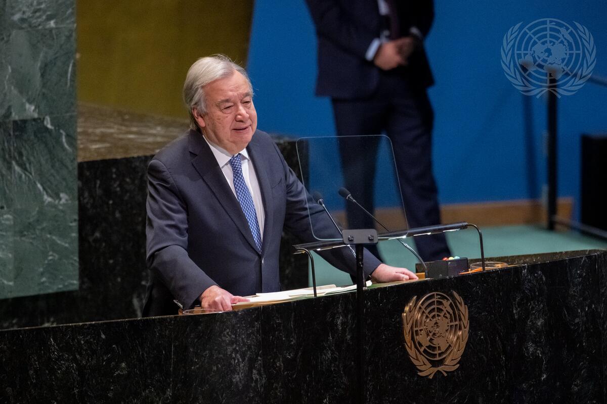 Denmark in UN NY🇩🇰 tweet media