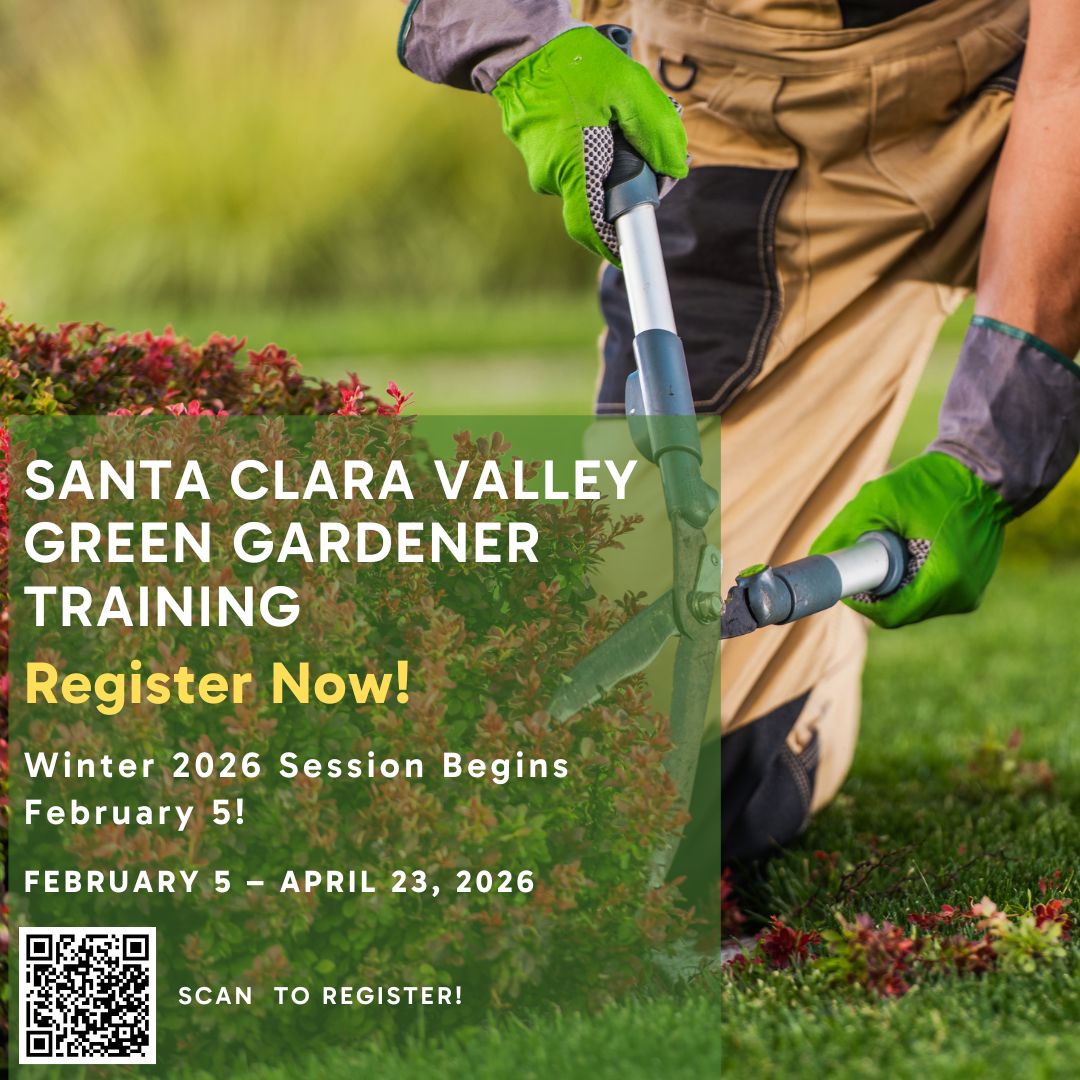 City of Santa Clara tweet media