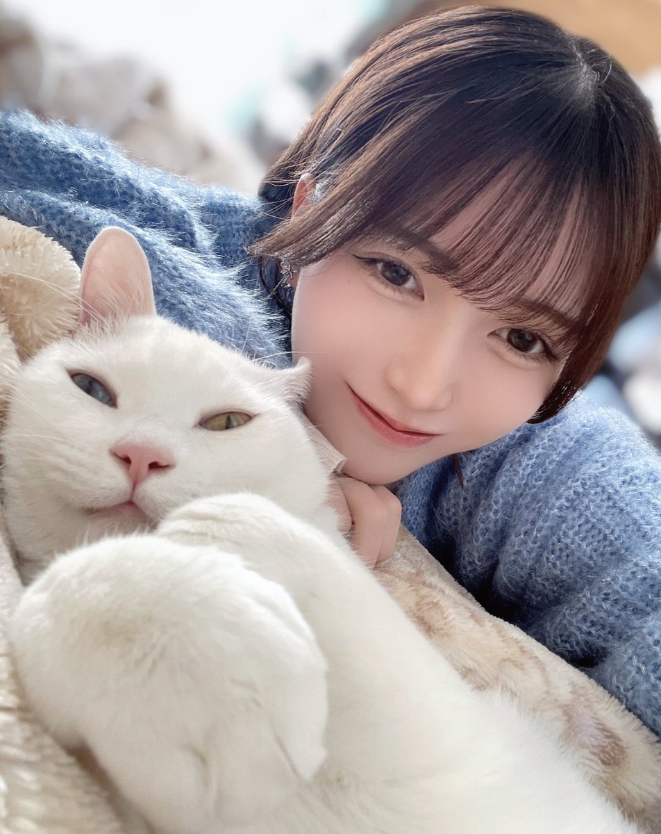 みっちゃん Post by みっちゃん on X: こんにちは