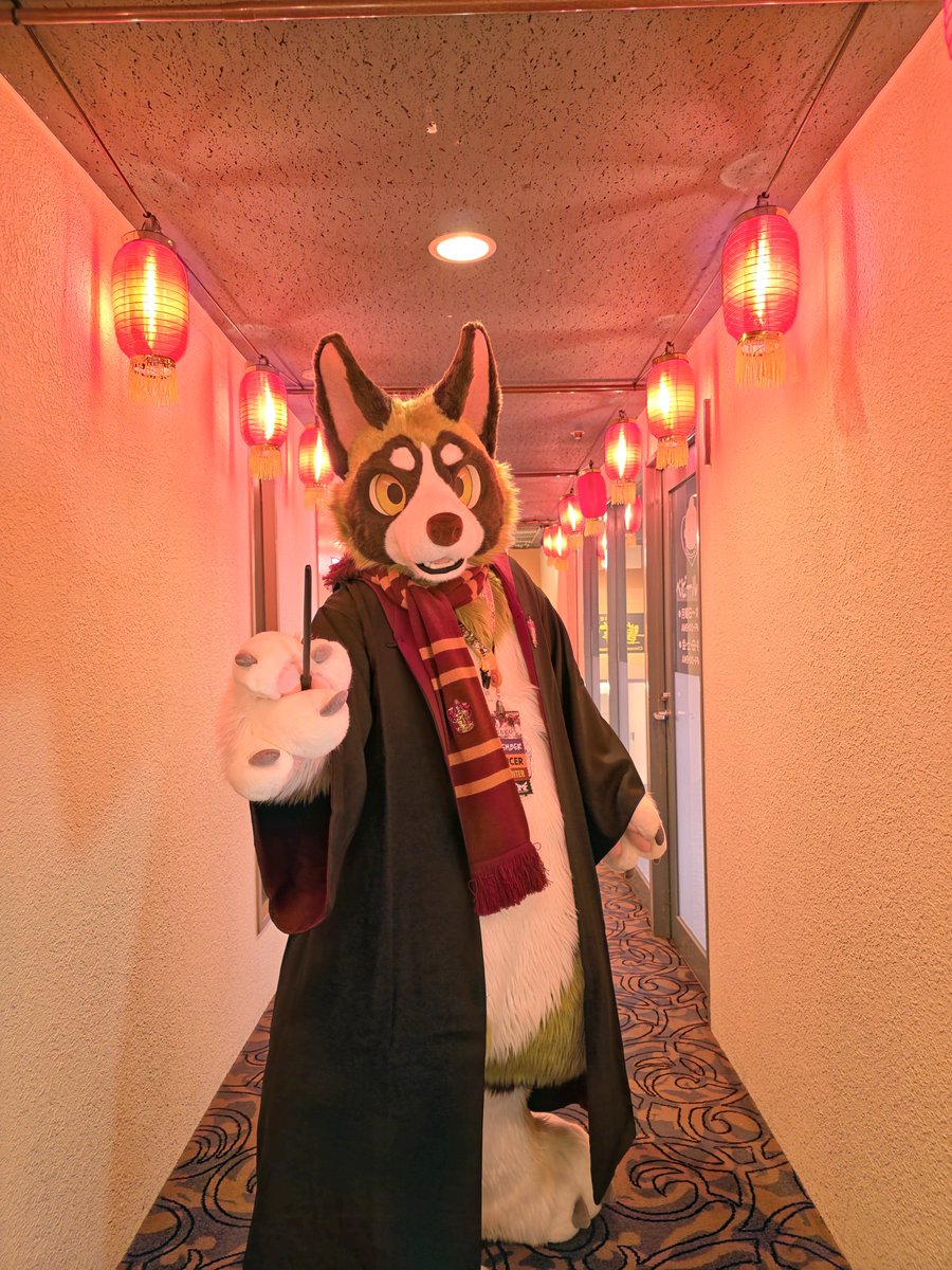 魔法対決🪄︎︎✨

#FursuitFriday
#JMoF2026