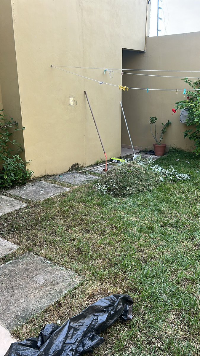 test_tubebby's tweet image. Me puse a cortar el pasto porque imma real #beaner