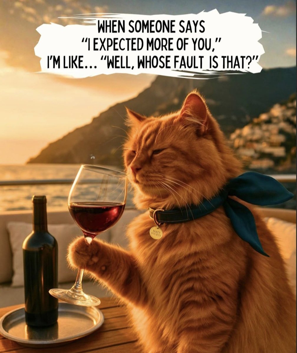 TheDramaMammas's tweet image. #ImNotGettingOldImGetting straight to the point!😹😂🤭👍