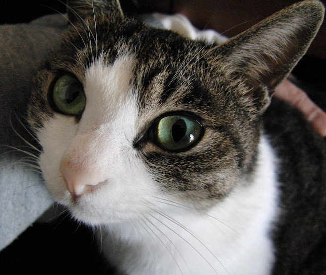 令和8年 西暦2026年1月16日 週のおしまい金曜日 オッハッヨ