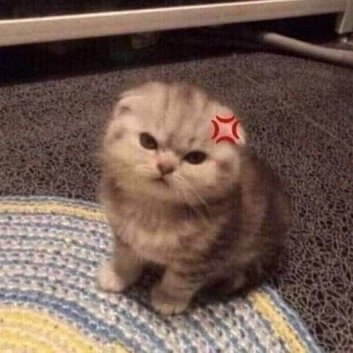 tori ☽｡⋆ (@toribadge) on Twitter photo 