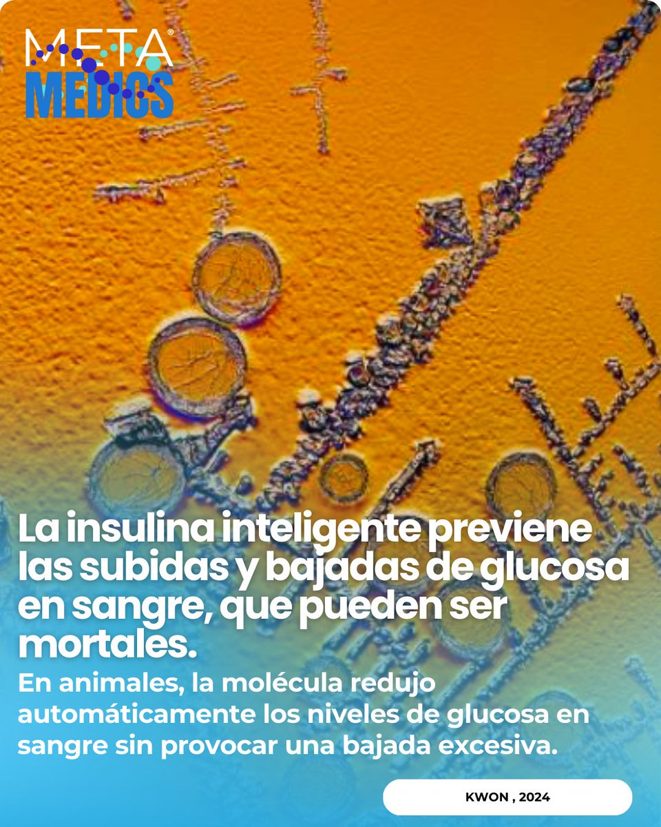 Metamedicsmx's tweet image. Insulina “inteligente” (NNC2215) con switch macrocycle+glucósido: se activa con glucosa alta y se frena con glucosa baja. En ratas y cerdos bajó glucosa como insulina humana y evitó caídas excesivas. Fuente/DOI: 10.1038/d41586-024-03357-7.